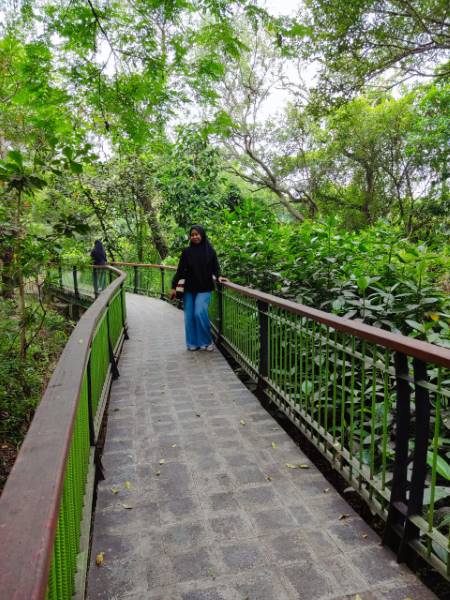Jakarta_Angke_Kapuk_Nature_Tourism_Park_6