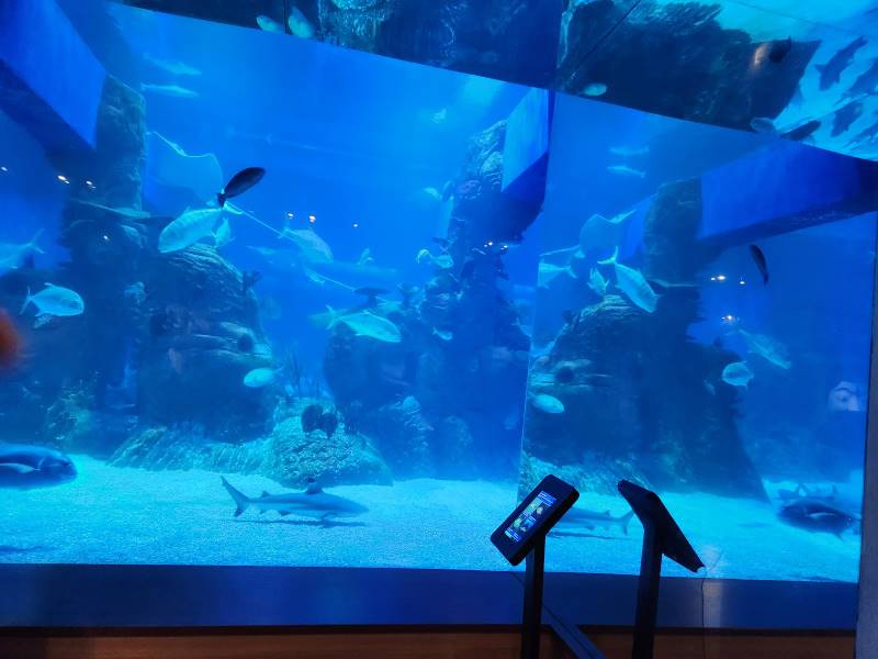 Jakarta_Jakarta_Aquarium_and_Safari_2