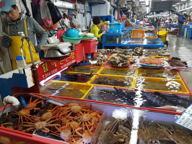 Jung_(Busan)_Jagalchi_Market_6