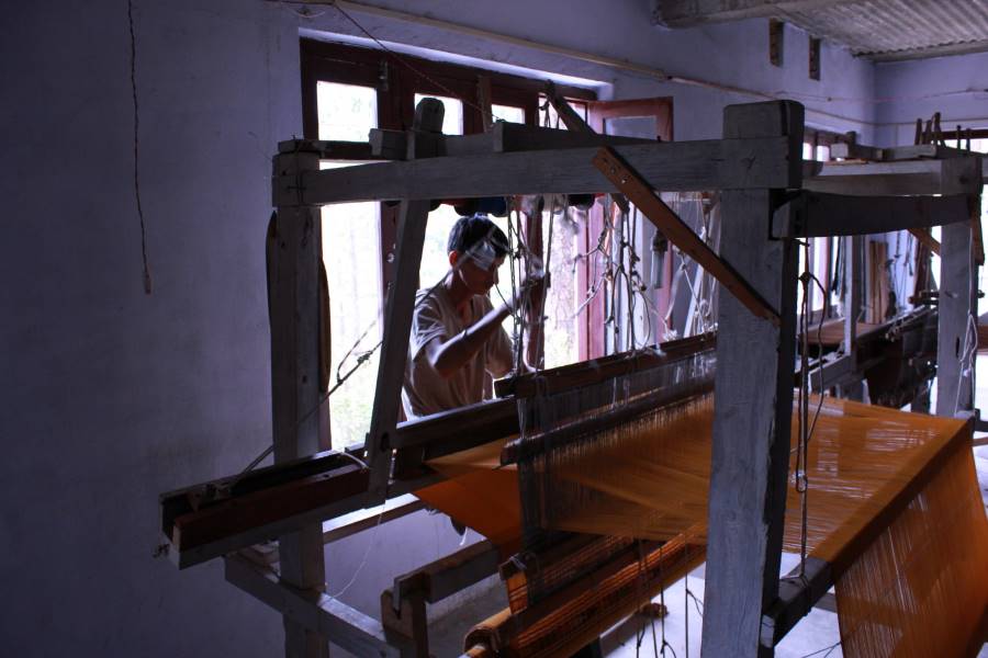 Kausani_Kausani_Shawls_8