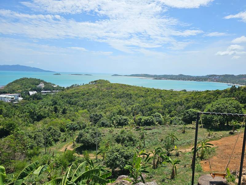 Koh_Samui_Black_Rabbit_Samui_3