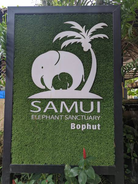 Koh_Samui_Samui_Elephant_Sanctuary_Tour_5