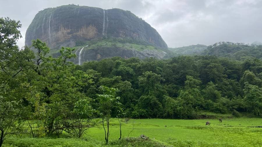 Kolad_Bhira_Dam_1