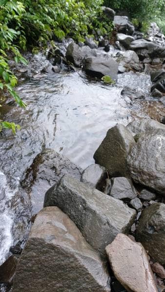 Kolad_Plus_Valley_Trek_8
