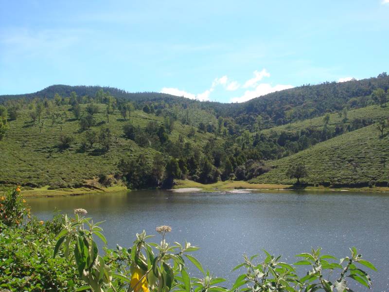 Kotagiri_Gudalur_10