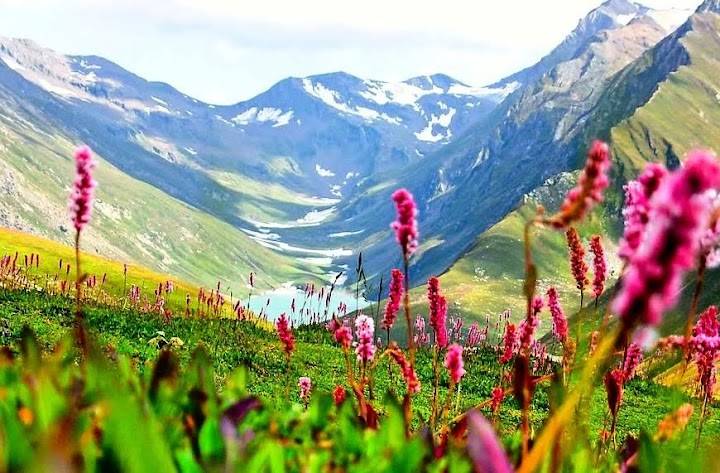 Lachen_Kanchenjunga_National_Park_5