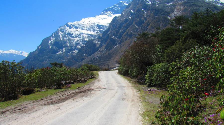 Lachung_Yumthang_Valley_7