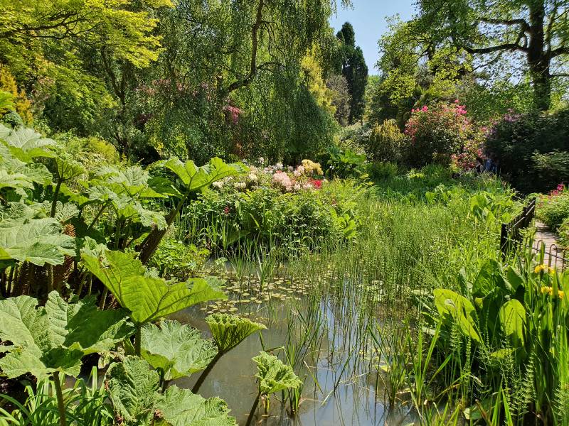 Manchester_Fletcher_Moss_Park_1