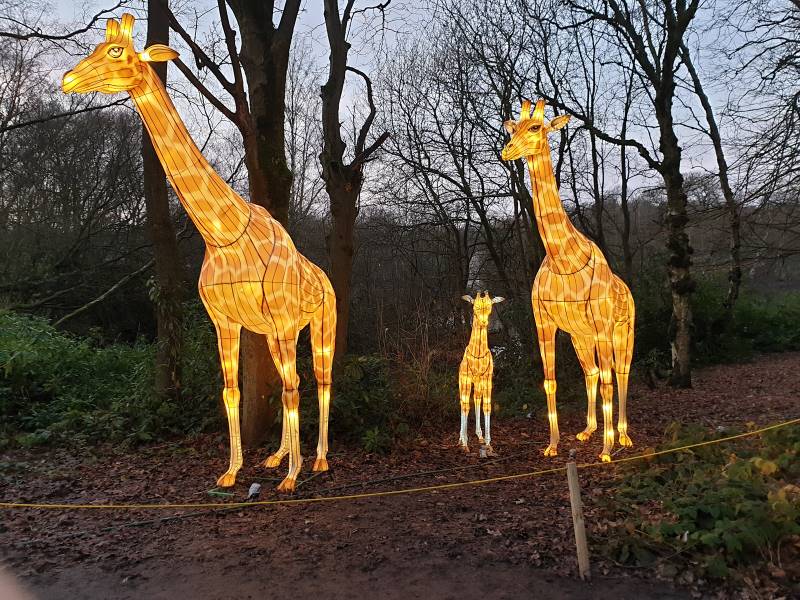 Manchester_Heaton_Park_10