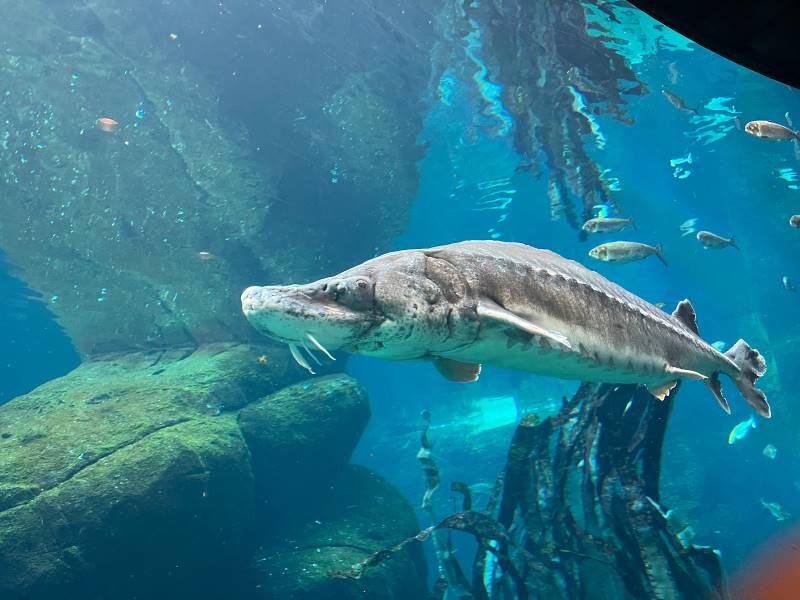 Montreal_Montreal_Biodome_9