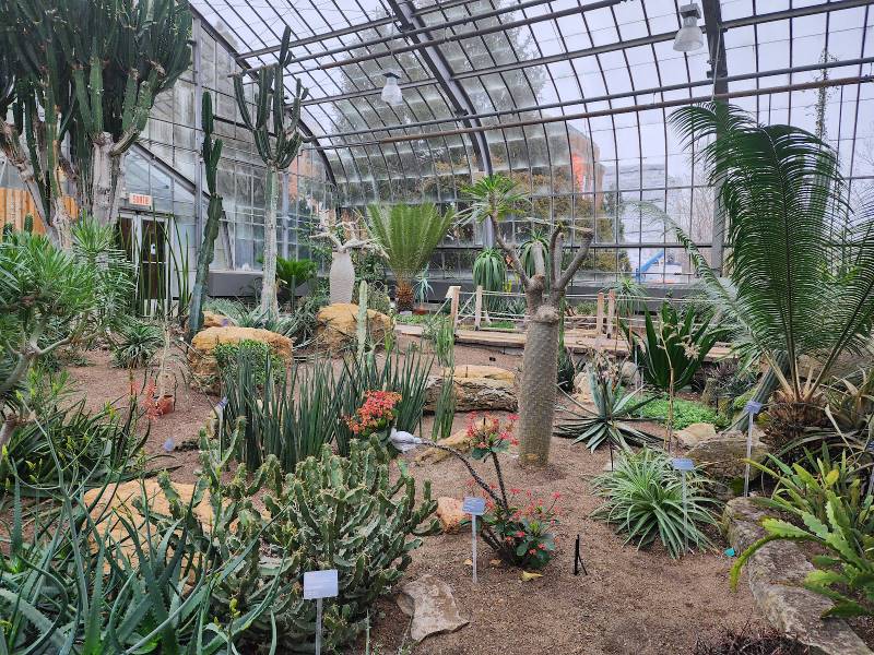 Montreal_Montreal_Botanical_Garden_10