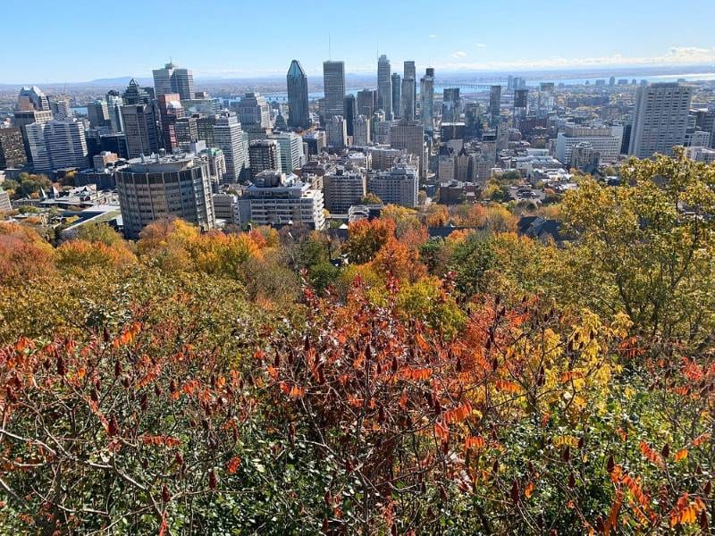 Montreal_Montreal_Park_6