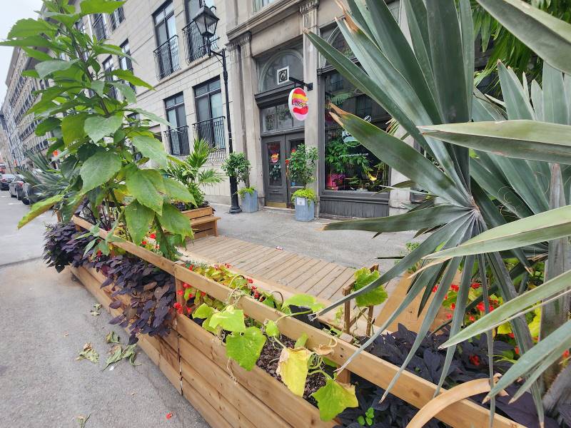 Montreal_Old_Montreal_2