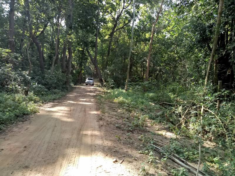 Nahan_Nahan_Simbalbara_National_Park_2