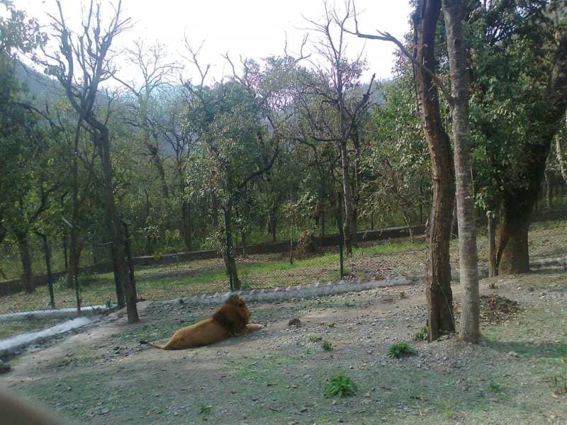 Nahan_Renuka_Wildlife_Park_10