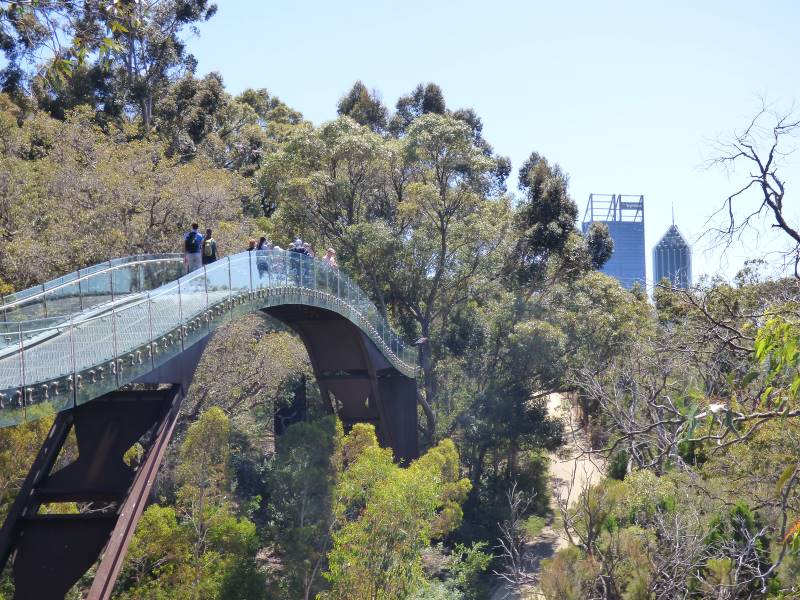 Perth_Lotterywest_Federation_Walkway_4