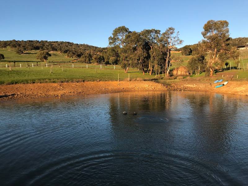 Perth_Swan_Valley_3
