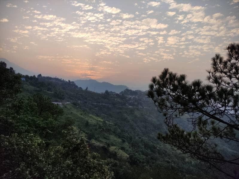 Pithoragarh_Askot_Sanctuary_5