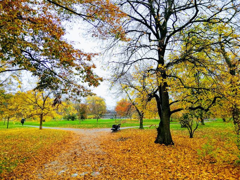 Prague_Letna_Park_4