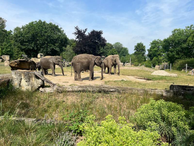 Prague_Prague_Zoo_1
