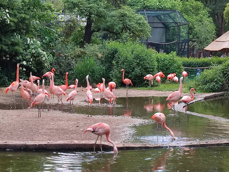 Prague_Prague_Zoo_4