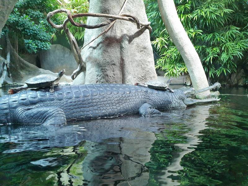 Prague_Prague_Zoo_9