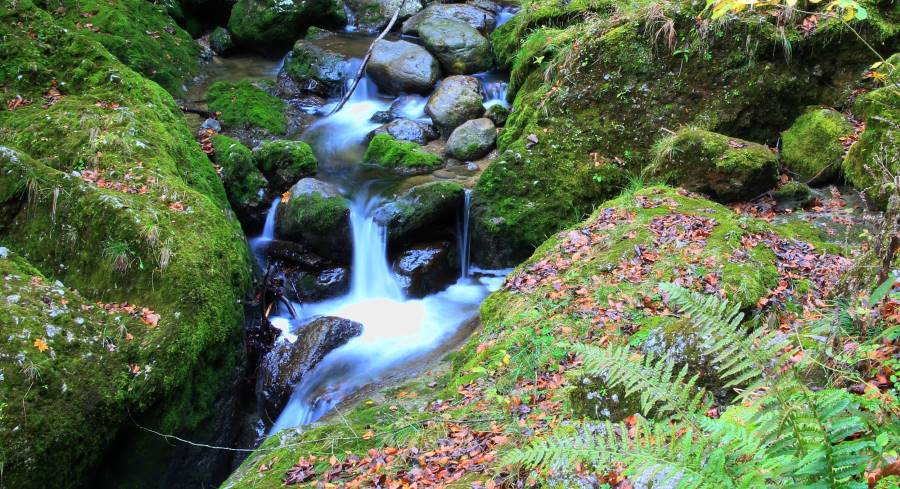 Salzburg_Glassenbachklamm_Park_1