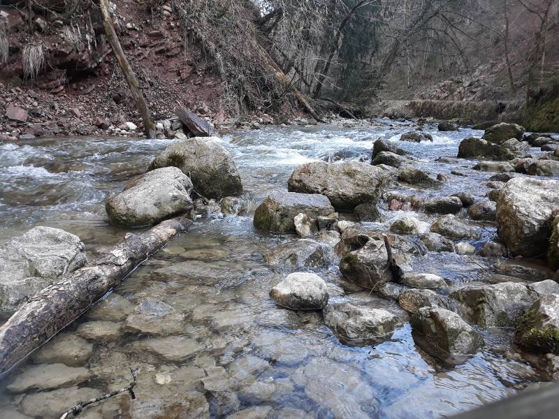 Salzburg_Glassenbachklamm_Park_4