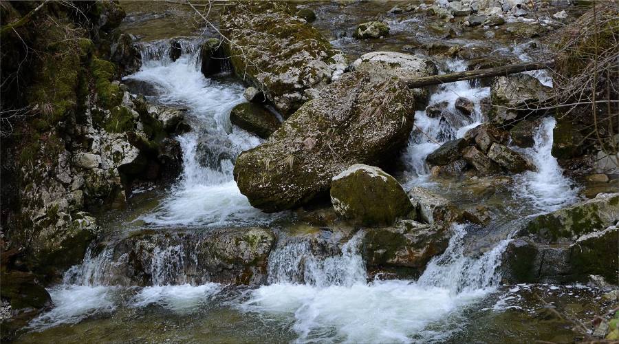 Salzburg_Glassenbachklamm_Park_8