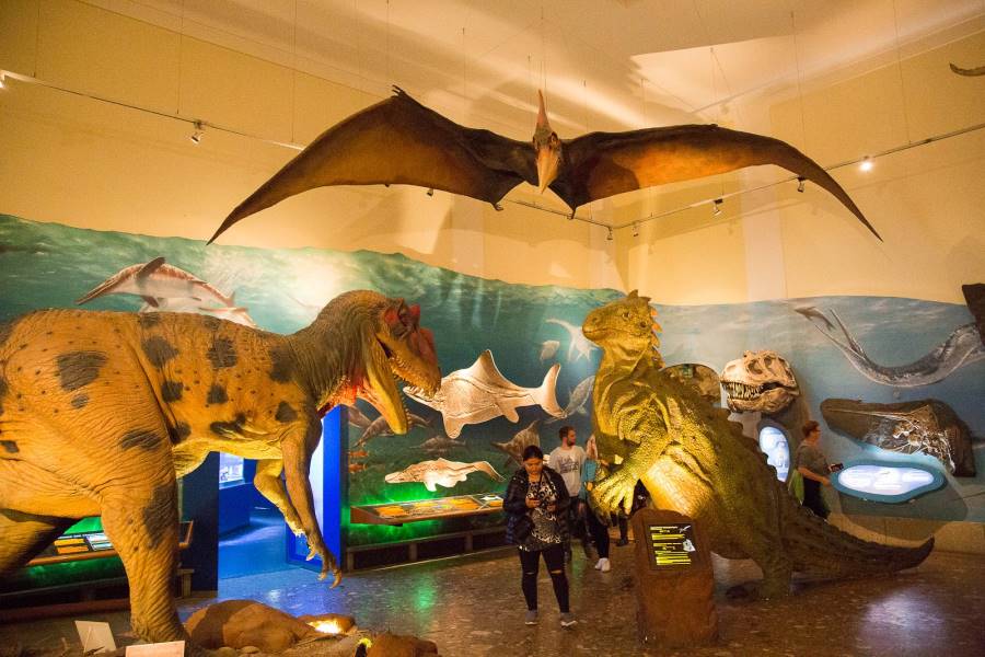 Salzburg_Museum_of_Natural_Science_&_Technology_1