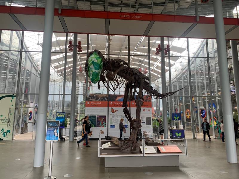 San_Francisco_California_Academy_of_Sciences_2