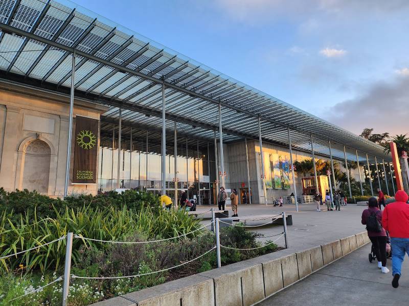 San_Francisco_California_Academy_of_Sciences_4