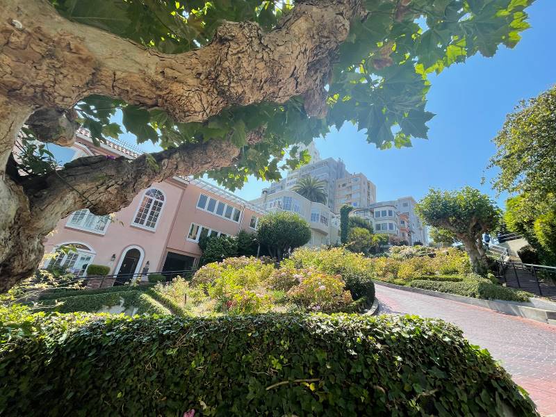 San_Francisco_Lombard_Street_8