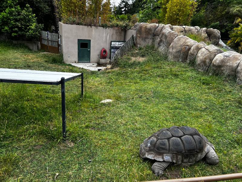 San_Francisco_Oakland_Zoo_5