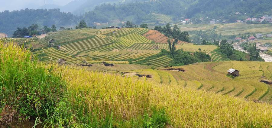 Sapa_Ban_Ho_1