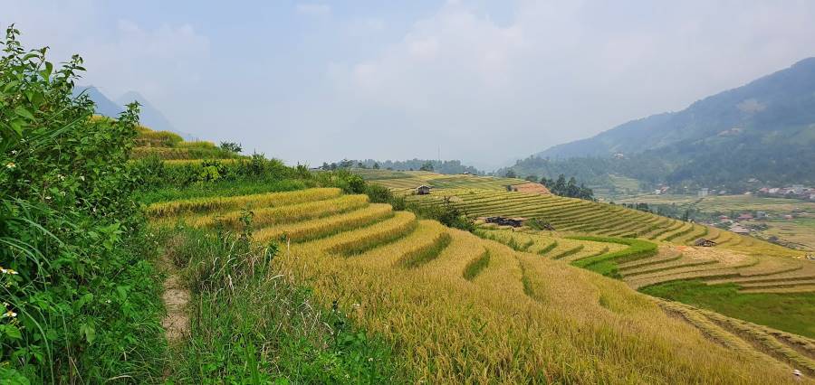 Sapa_Ban_Ho_3