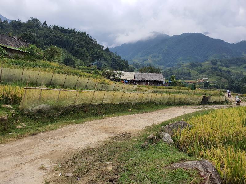 Sapa_Lao_Chai_1