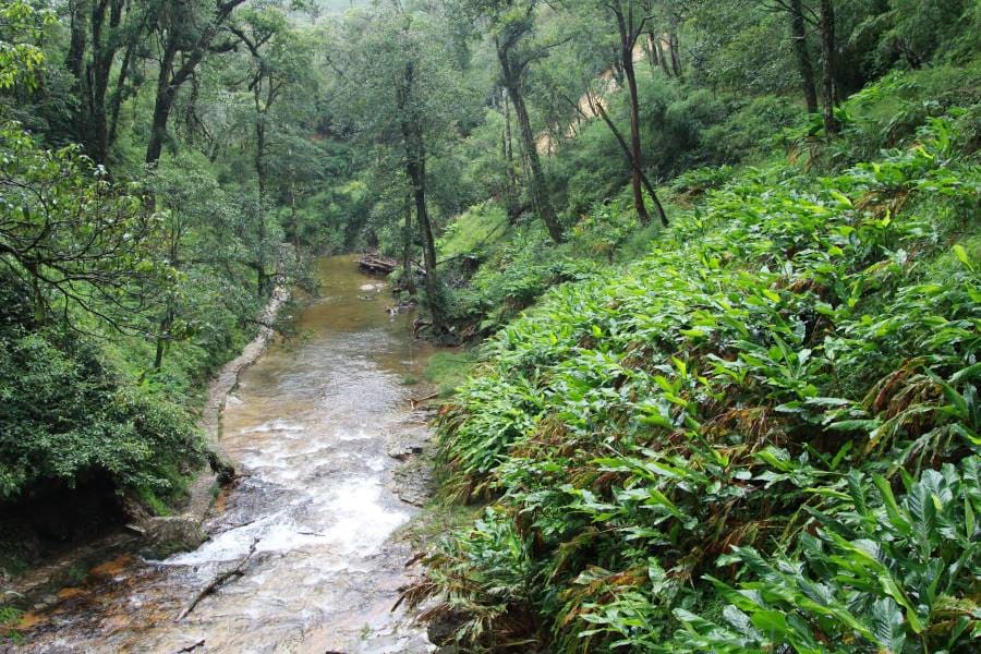 Sapa_Walk_to_the_Love_Waterfall_4