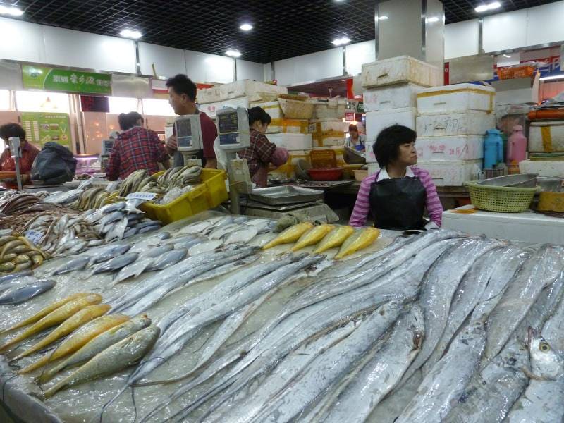 Shanghai_Shanghai_French_Concession_5