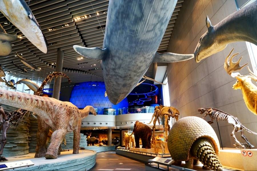 Shanghai_Shanghai_Natural_History_Museum_2