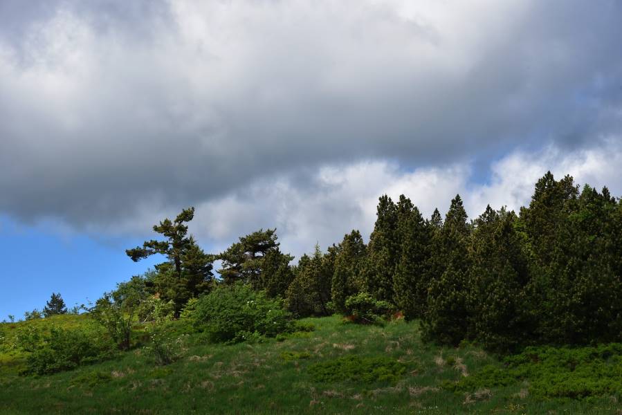 Stuttgart_Black_Forest_High_Road_5