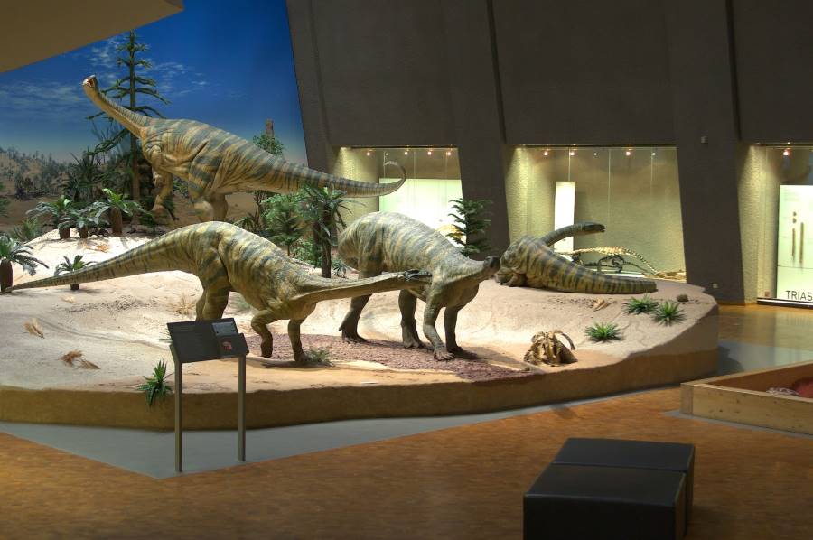 Stuttgart_The_State_Museum_of_Natural_History_1