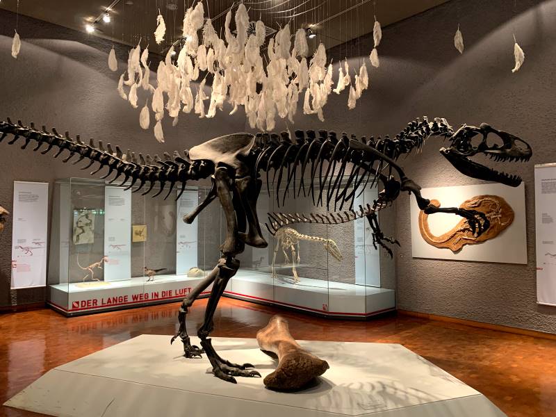 Stuttgart_The_State_Museum_of_Natural_History_2
