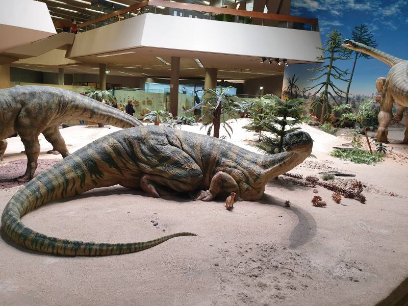 Stuttgart_The_State_Museum_of_Natural_History_4