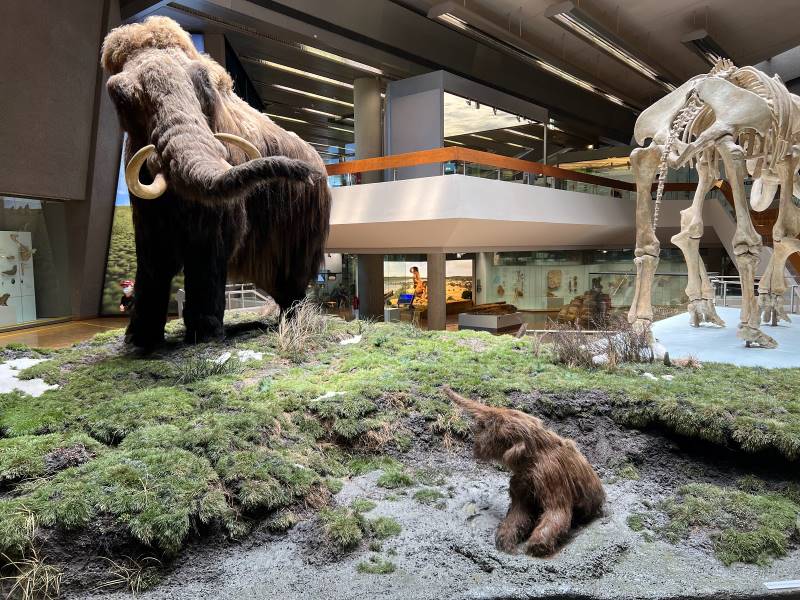 Stuttgart_The_State_Museum_of_Natural_History_7