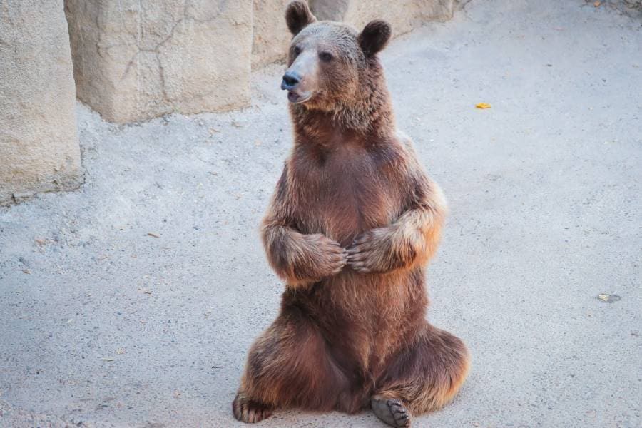 Tashkent_Tashkent_Zoo_7