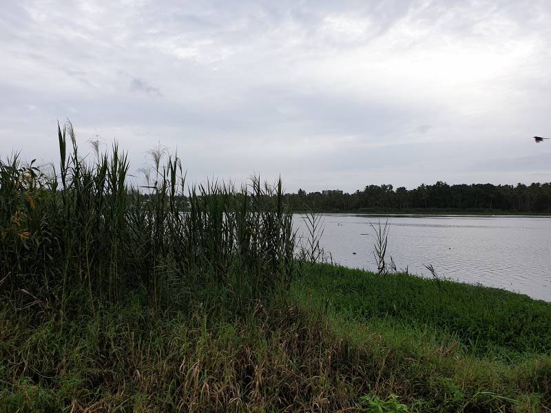 Thiruvananthapuram_Akklam_lake_10