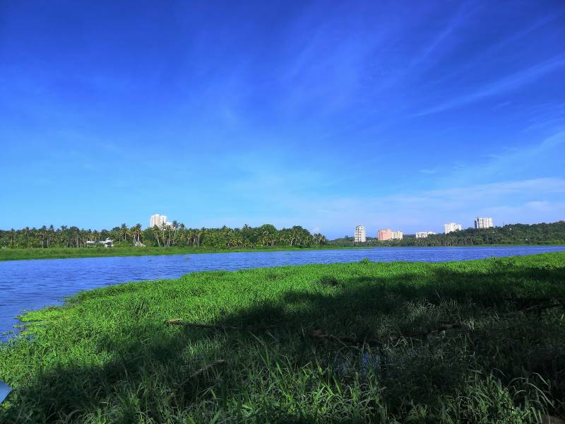 Thiruvananthapuram_Akklam_lake_1