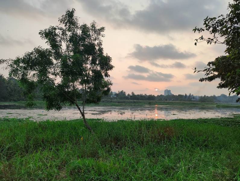 Thiruvananthapuram_Akklam_lake_2