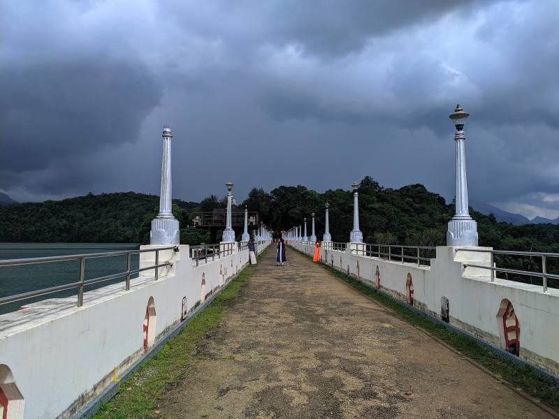Thiruvananthapuram_Neyyar_Wildlife_Sanctuary_8